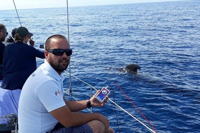 Whale and Dolphin Watching Sailing Boat with Drinks, Snacks and Swimming Time - The People on Board Matter, Captain Guy and the Host Style