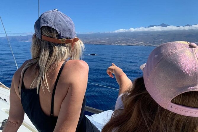 Whale and Dolphin Watching Yacht Trip in Puerto Colon - Snorkeling and the Swim Stop, When Conditions Allow
