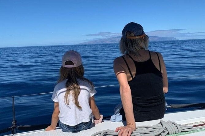 Whale and Dolphin Watching Yacht Trip in Puerto Colon - Value for $62.56: What You Get for the Money