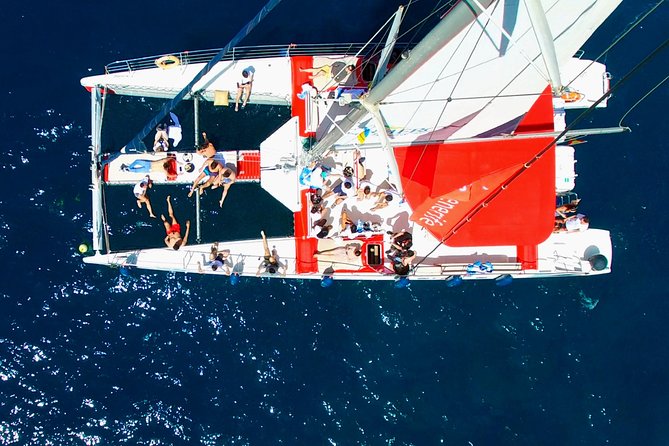 Whale watching and listening Eco-Catamaran Tour with Food Tasting - Listening for whales underwater: the live captain commentary effect