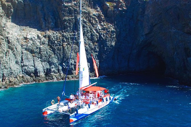 Whale watching and listening Eco-Catamaran Tour with Food Tasting - Stop for swimming and snorkeling: the real payoff beyond spotting