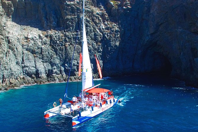 Whale watching and listening Eco-Catamaran Tour with Food Tasting - Food tasting onboard: sandwiches and unlimited drinks that actually help