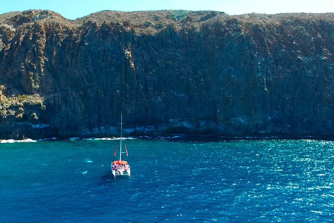 Whale watching and listening Eco-Catamaran Tour with Food Tasting - The eco catamaran setup, and why the boat size matters