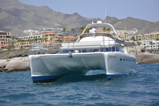 Whale Watching Catamaran Cruise with Transfer, Buffet by MC - The swim and snorkeling stop, what to bring and how to handle it