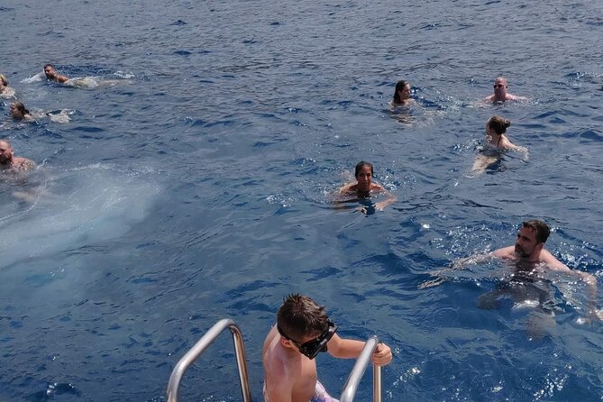Whale Watching Catamaran in Costa Adeje (Including drinks & Sandwich) - Open bar and sandwiches: real value, not just a snack line
