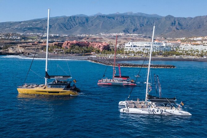 Whale Watching Catamaran in Costa Adeje (Including drinks & Sandwich) - Pickup and getting to the port without stress