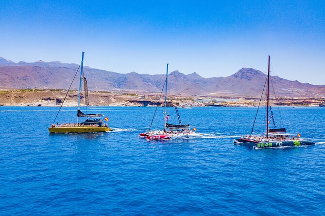 Whale Watching Catamaran in Costa Adeje (Including drinks & Sandwich) - Weather, wind, and sea-sickness: plan like a local