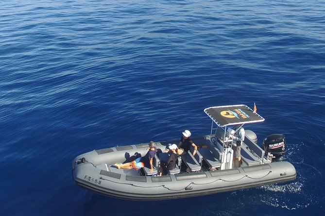 Whale Watching Eco-Adventure from Costa Adeje - Key things I’d center your decision on
