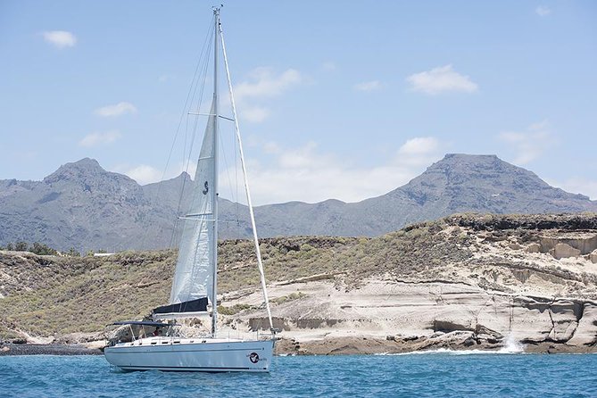Whales & Dolphins watching in exclusive sailboat - The value question: what $71.35 buys you in Tenerife