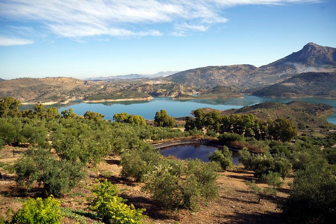 White Villages and Ronda Day Tour from Seville - Key things I’d highlight before you go
