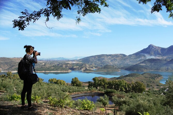 White Villages and Ronda Day Tour from Seville - Why this White Villages + Ronda loop makes sense from Seville
