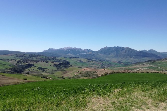 White Villages and Ronda Day Trip from Seville - Ronda with an official guide: Alameda, the gorge edge, and El Tajo photos