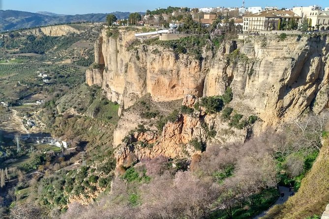 White Villages and Ronda Guided Day Tour from Seville - Grazalema, mountain-town charm plus the lunch timing issue