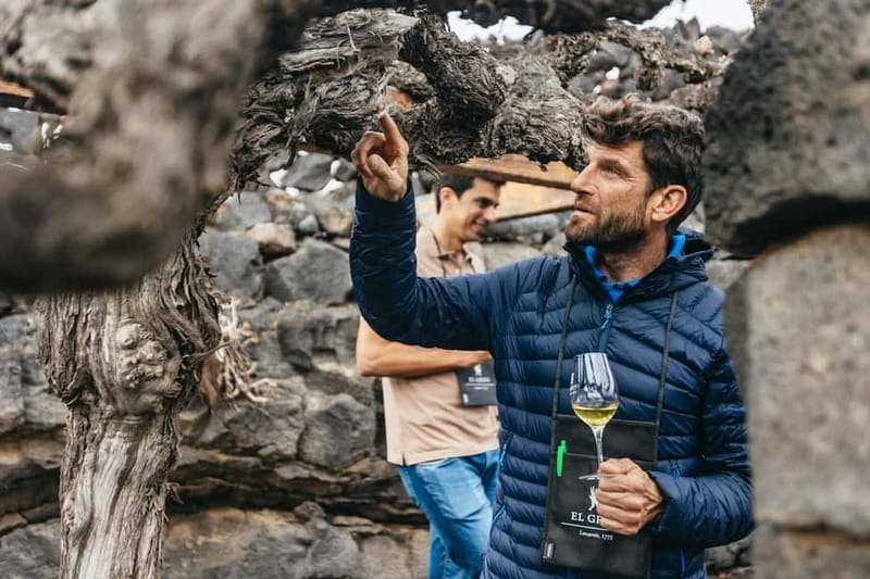 Wine Lovers: Wine Tasting Tour at El Grifo Bodega Lanzarote - The 2-Hour Pace: What You’ll Do from Start to Finish