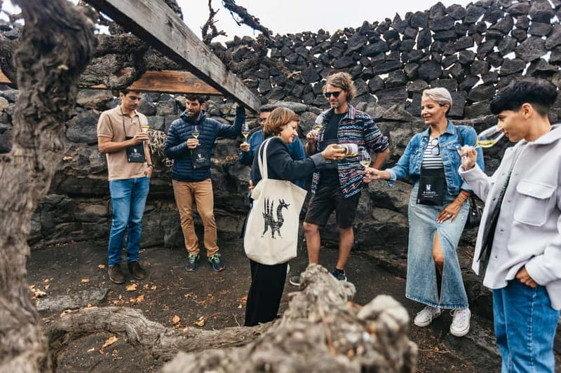 Wine Lovers: Wine Tasting Tour at El Grifo Bodega Lanzarote - The Tasting Room: Six Wines, Local Cheese, and Real Guidance