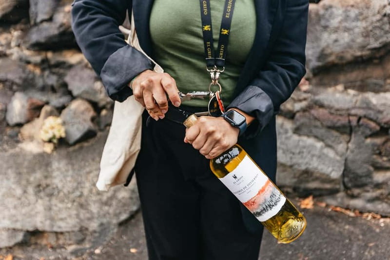 Wine Lovers: Wine Tasting Tour at El Grifo Bodega Lanzarote - Who Should Book This Tour (and Who Might Want to Pass)
