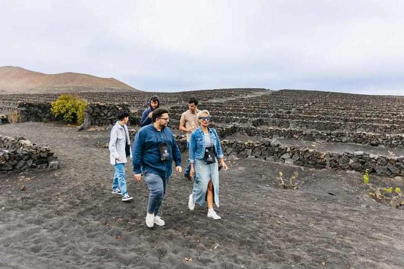 Wine Lovers: Wine Tasting Tour at El Grifo Bodega Lanzarote - Should You Book the Wine Lovers Tour at El Grifo Bodega?